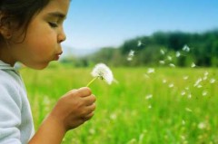 Chiropractic for Children